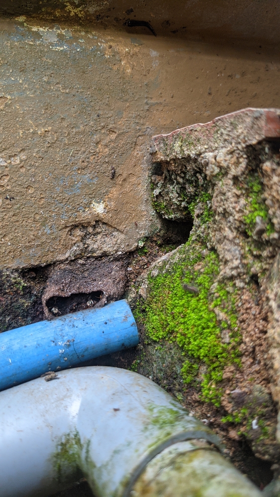 Vidange fosse septique Nivelles services