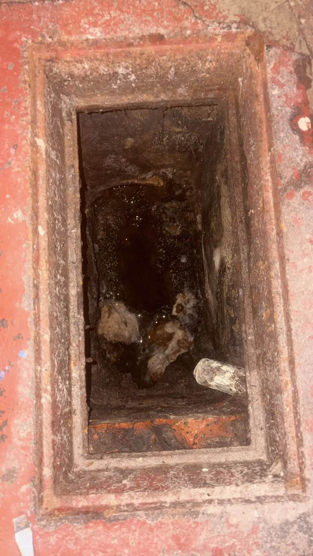 Vidange fosse Septique Mons