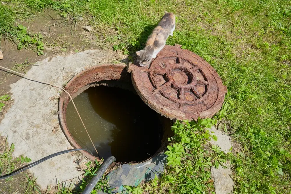 Vidange fosse Septique Mouscron