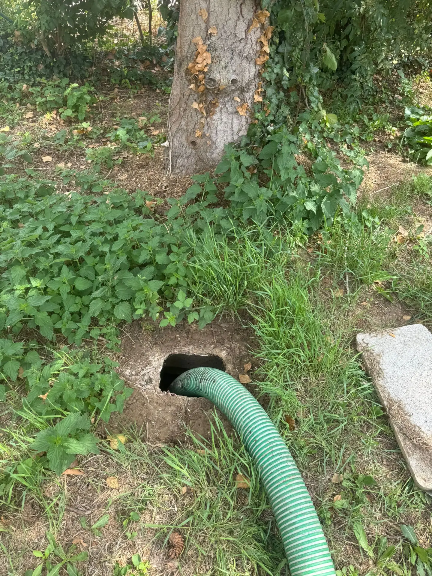 Vidange fosse septique Namur service