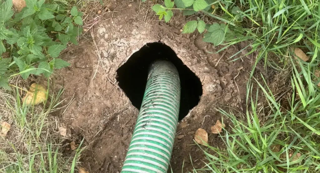 vidange fosse septique Namur
